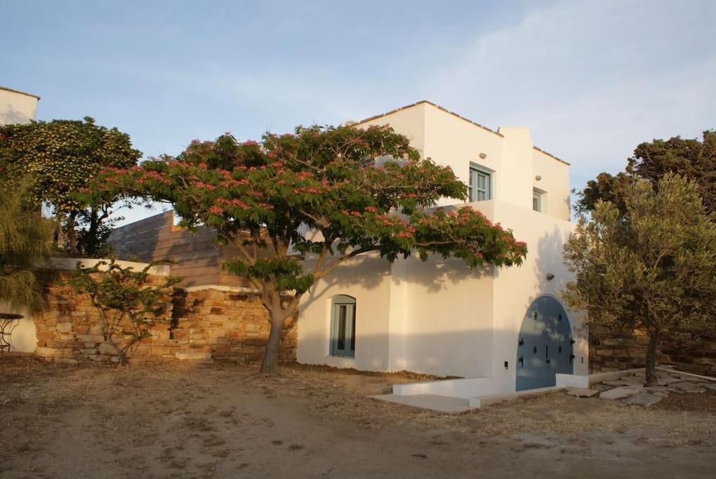 公寓 Casa Citrus Naxos City